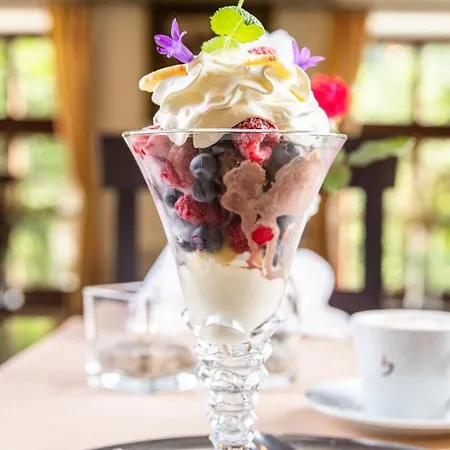 Naturhotel Schloss Kassegg 3* סנט גאלן