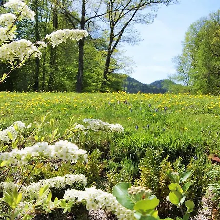 Naturhotel Schloss Kassegg Hotel 3*