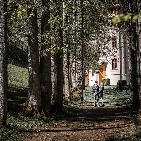 Naturhotel Schloss Kassegg Hotel 3*