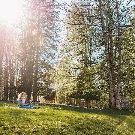 Naturhotel Schloss Kassegg 3*