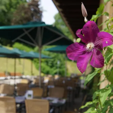 Naturhotel Schloss Kassegg מלון 3*