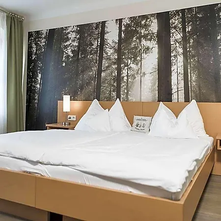Naturhotel Schloss Kassegg 3*