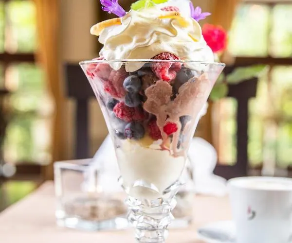 Naturhotel Schloss Kassegg 3* سكانت غالين