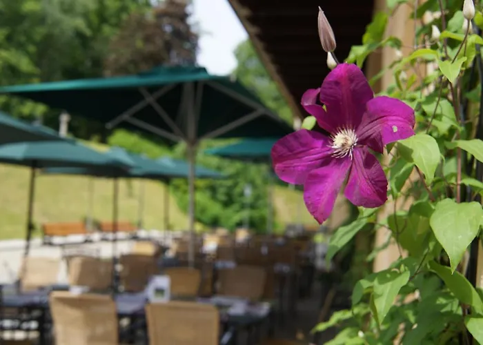 Naturhotel Schloss Kassegg فندق 3*